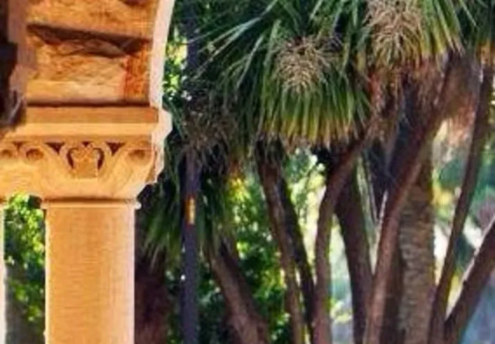 An abstract photo of some palm trees framed by a stone arch on what is probably the Stanford campus