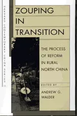 Zouping in Transition